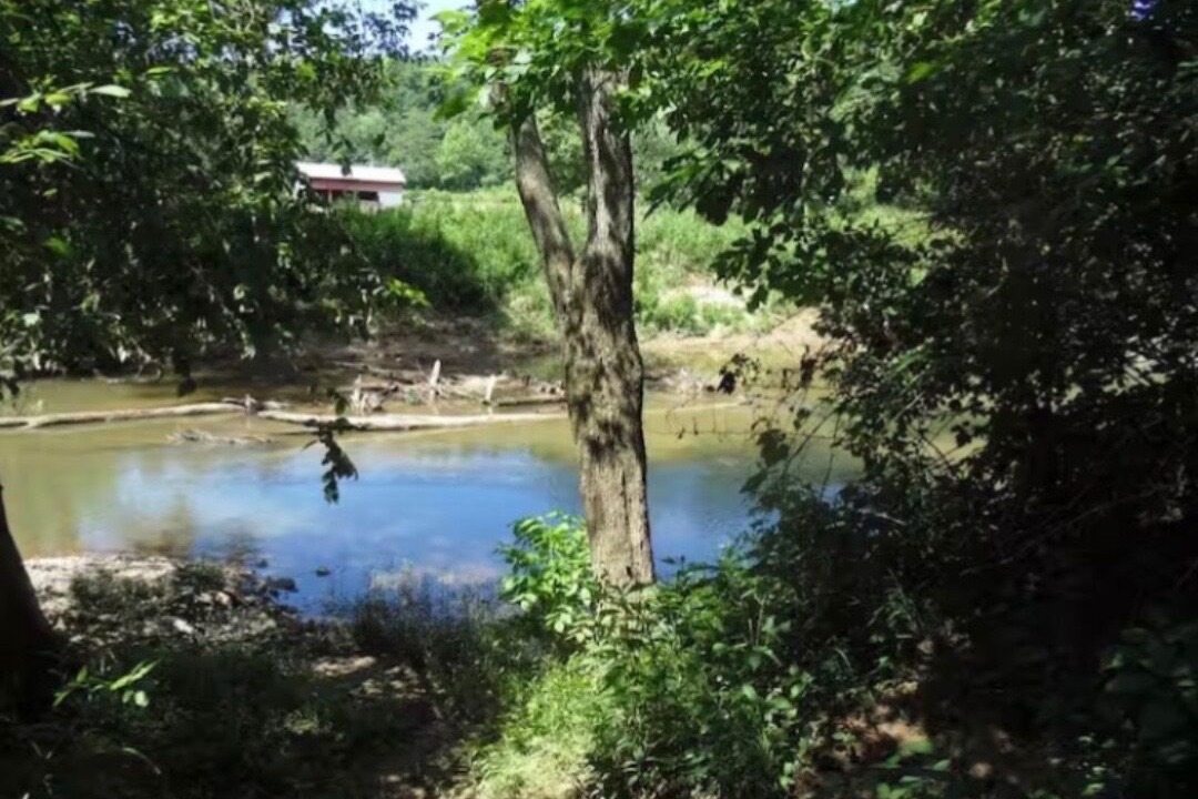 Photo of Others in Stanton