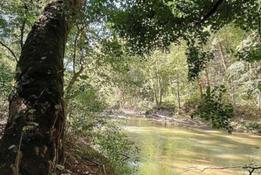 Photo of Others in Stanton