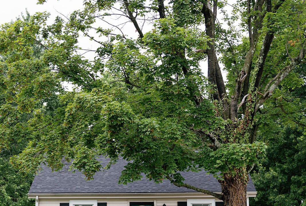 Photo of Outdoor in Lexington