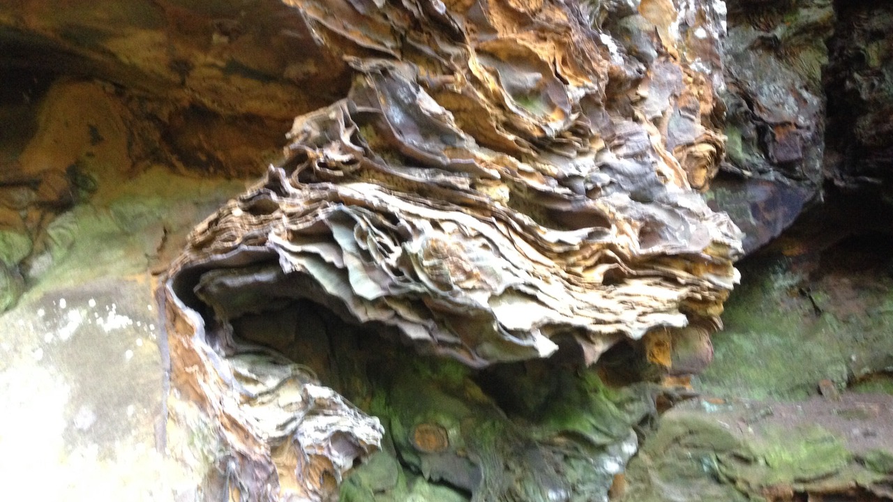 Photo of Outdoor in Campton