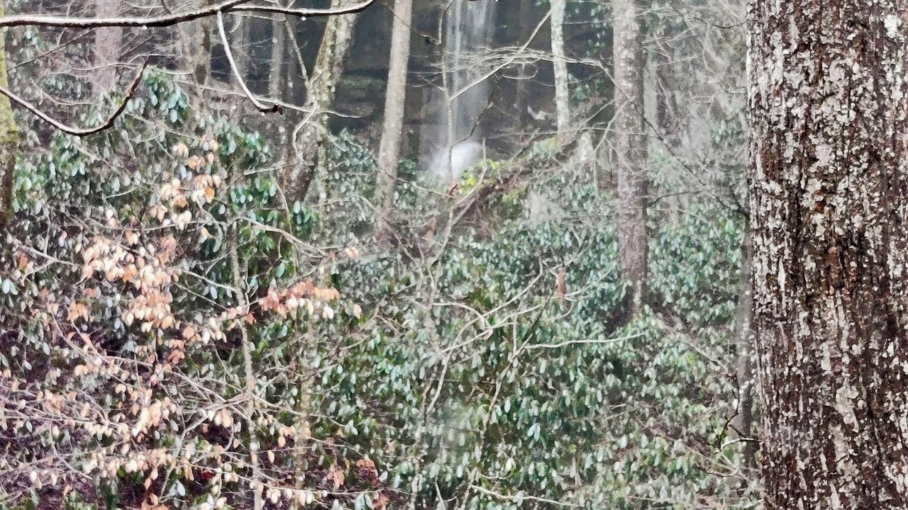 Photo of Outdoor in Campton