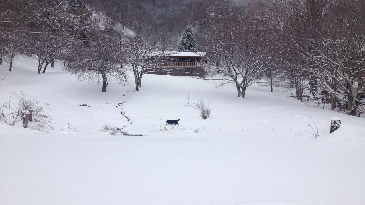 Photo of Others in Boone