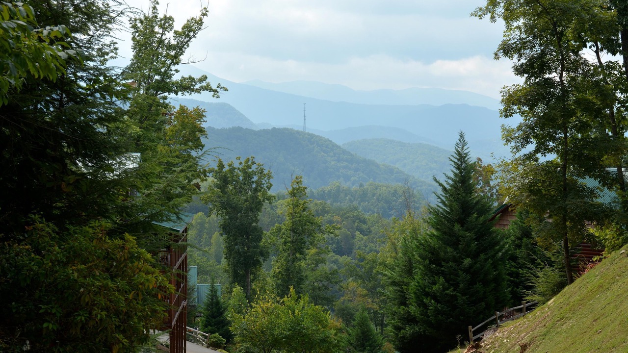 Photo of Others in Black Bear Falls