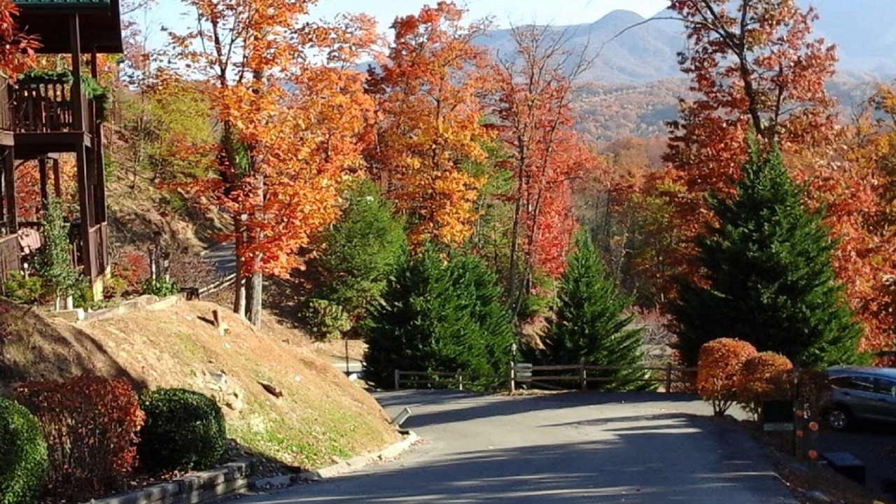 Photo of Others in Black Bear Falls