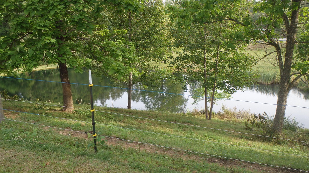 Photo of Outdoor in Pine Ridge
