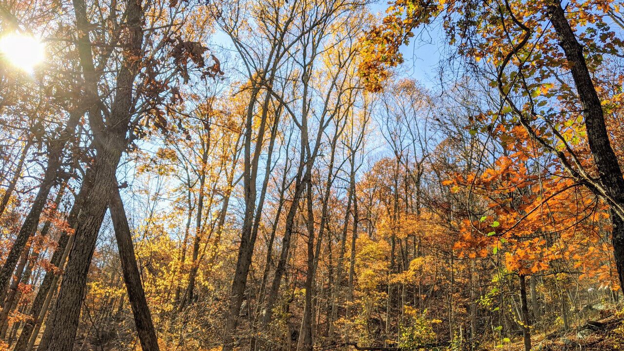 Photo of Others in Berkeley Springs