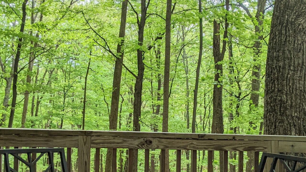 Photo of Others in Berkeley Springs