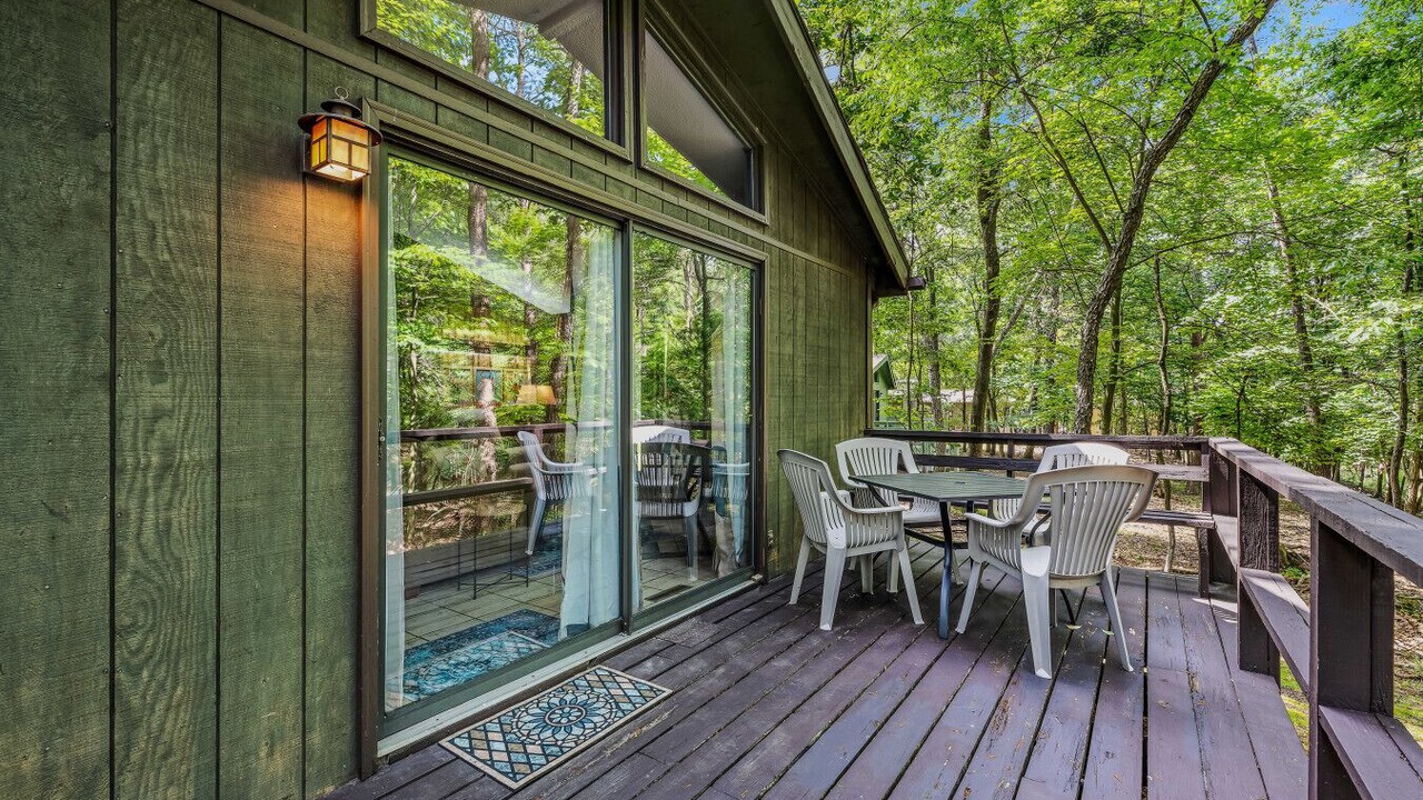 Photo of Outdoor in The Woods