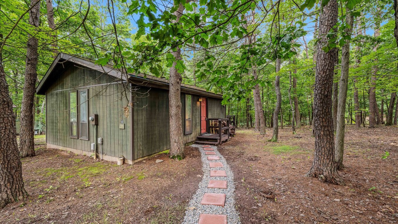 Photo of Outdoor in The Woods