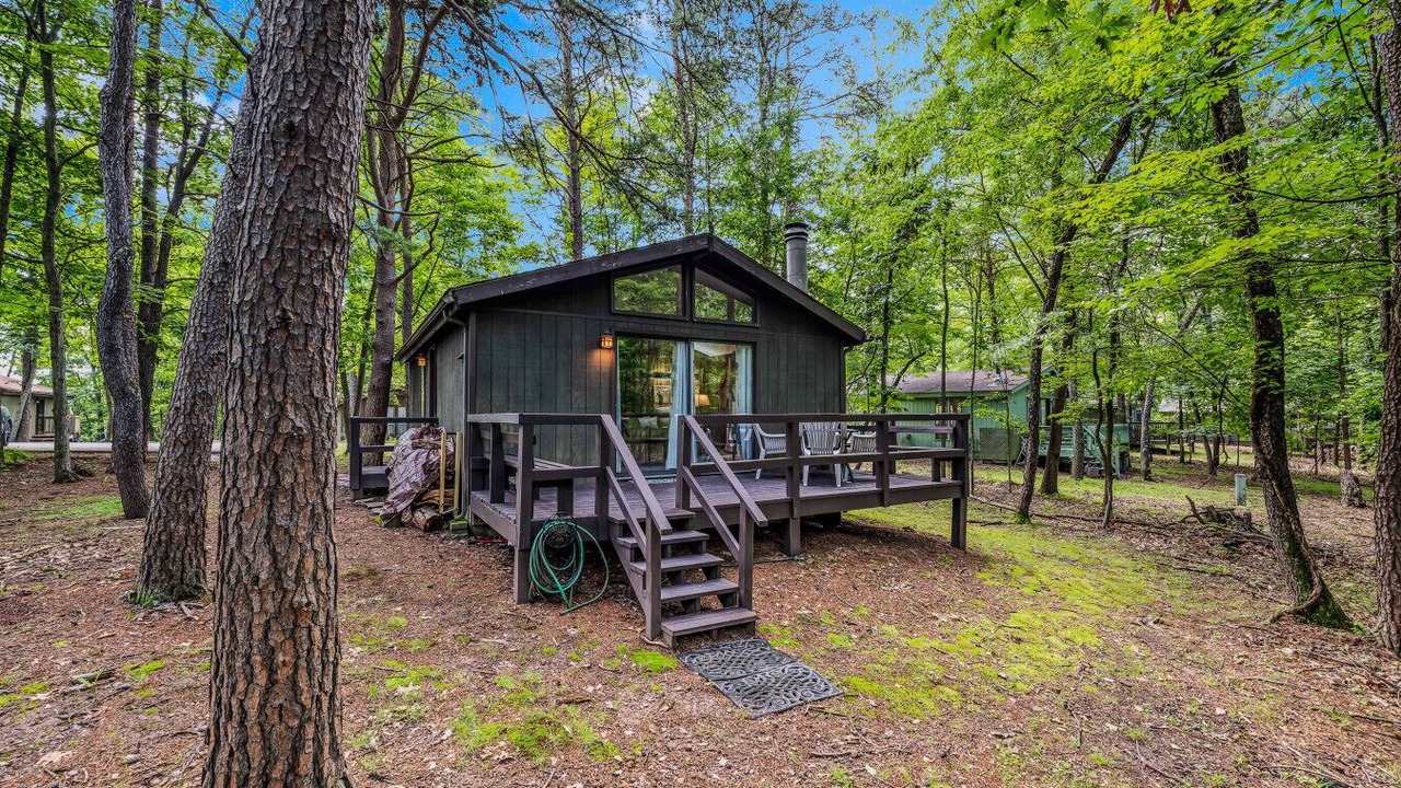 Photo of Outdoor in The Woods