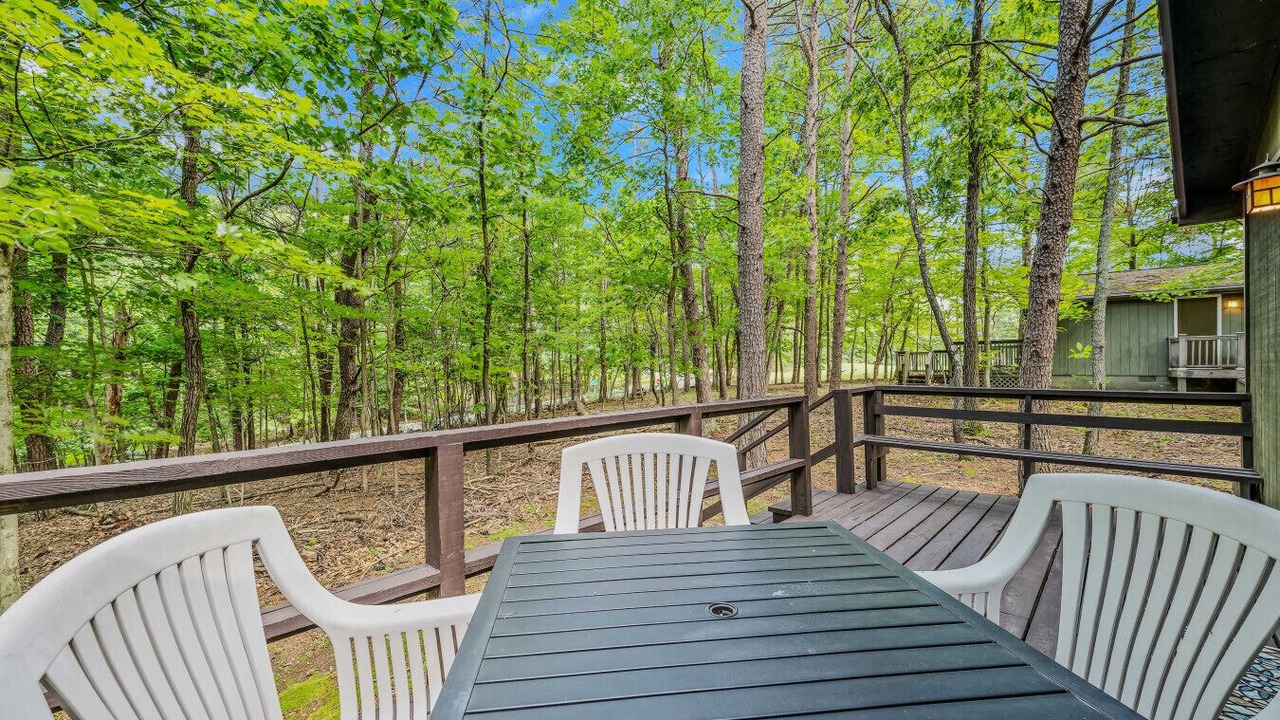 Photo of Outdoor in The Woods