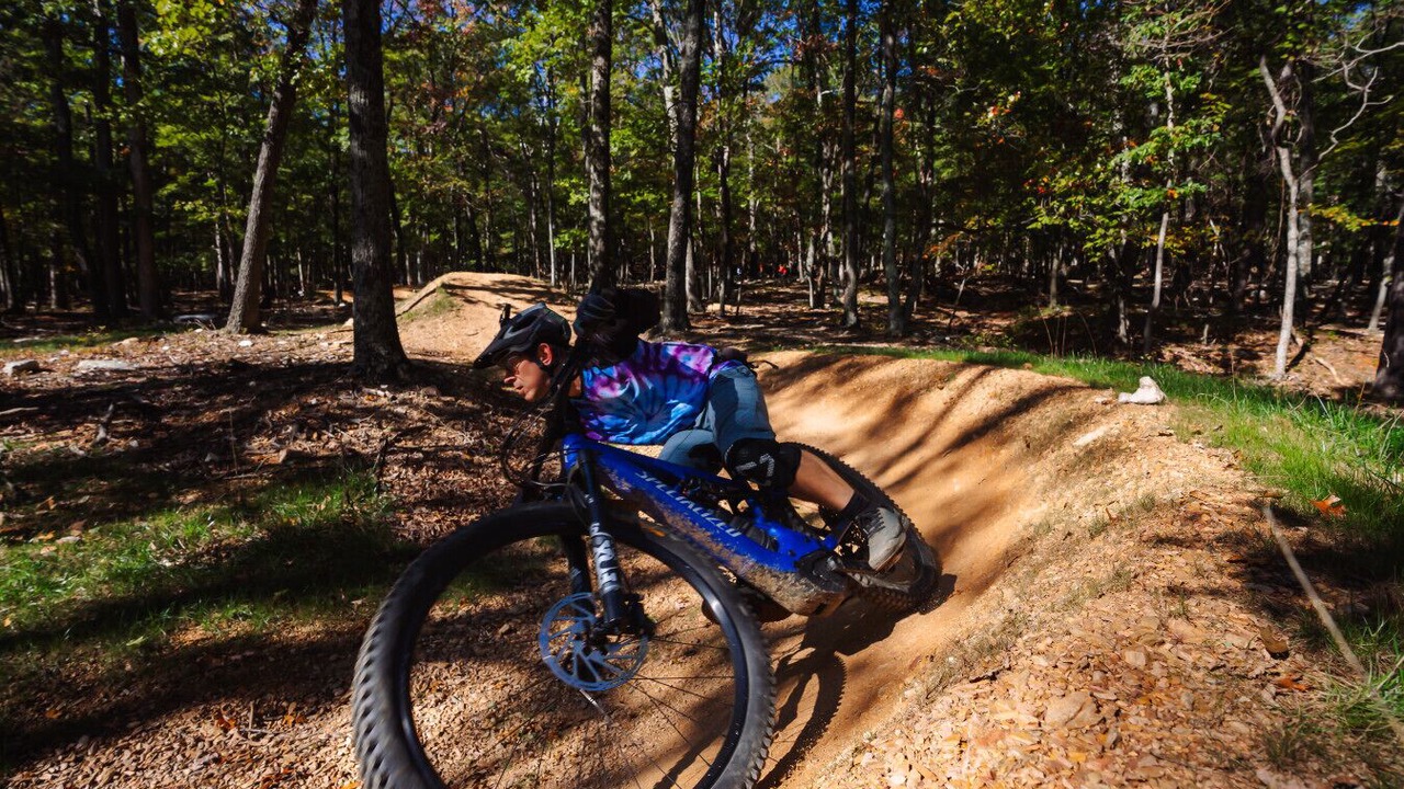Photo of Others in The Woods
