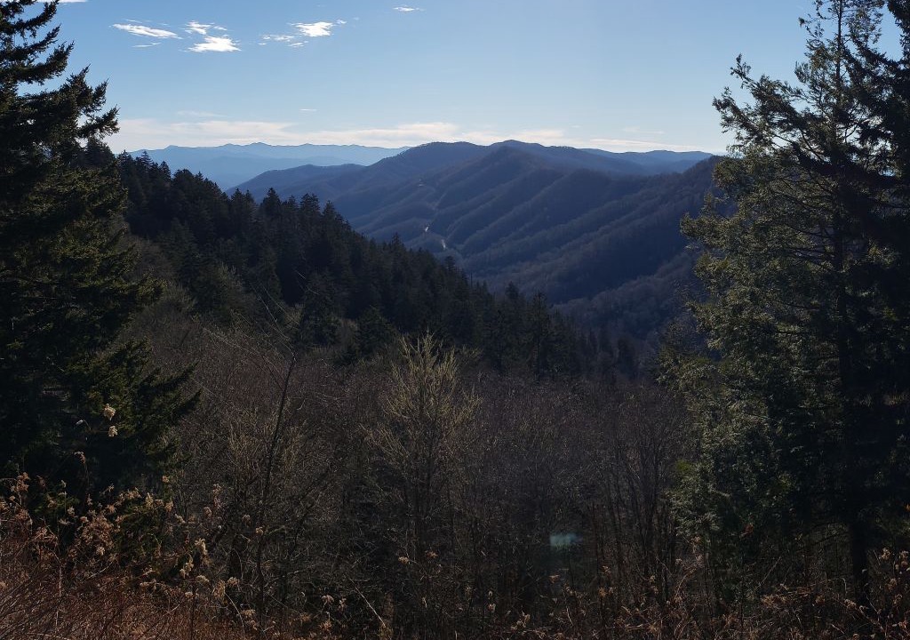 Photo of Others in Pigeon Forge