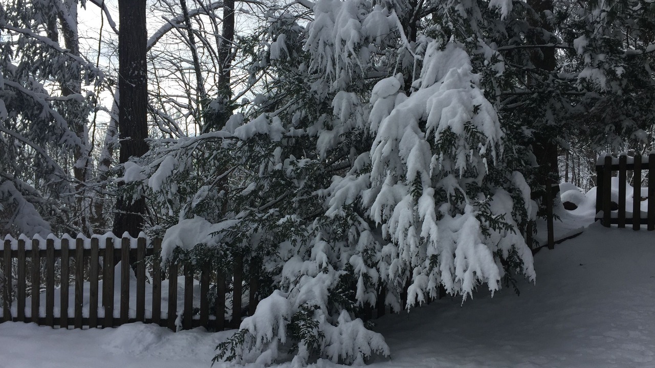 Photo of Outdoor in Fairview