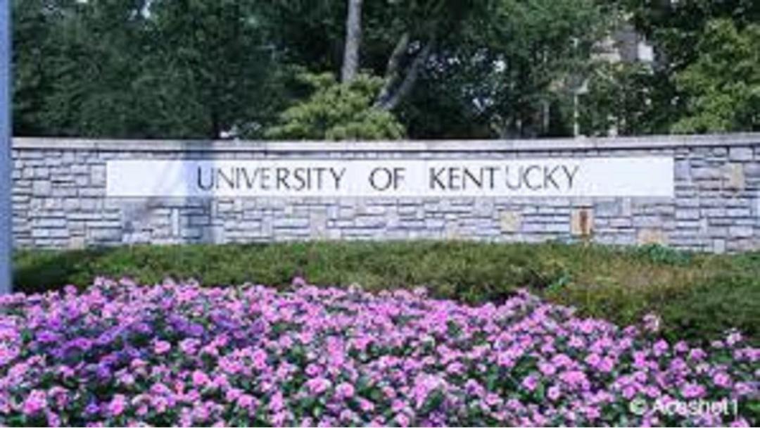Photo of Others in Lexington