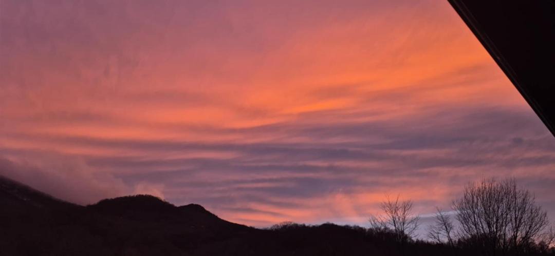 Photo of Others in Roan Mountain