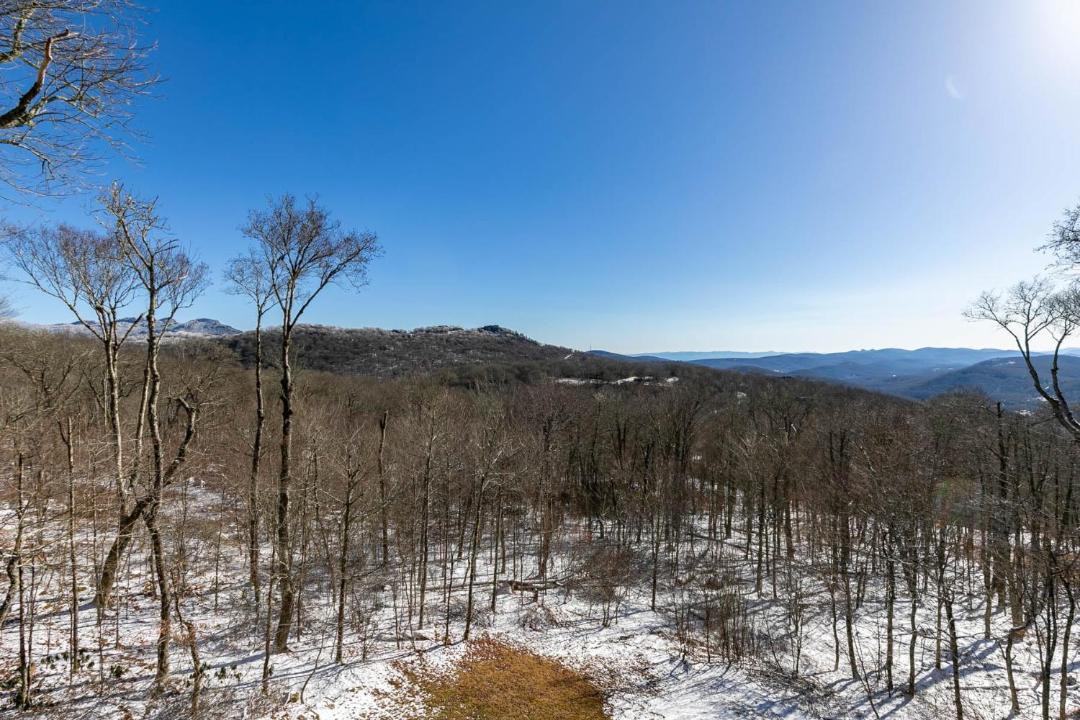 Photo of Others in Sugar Mountain