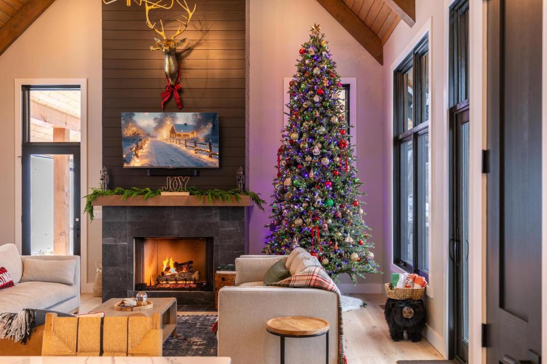 Photo of Livingroom in Elk Park