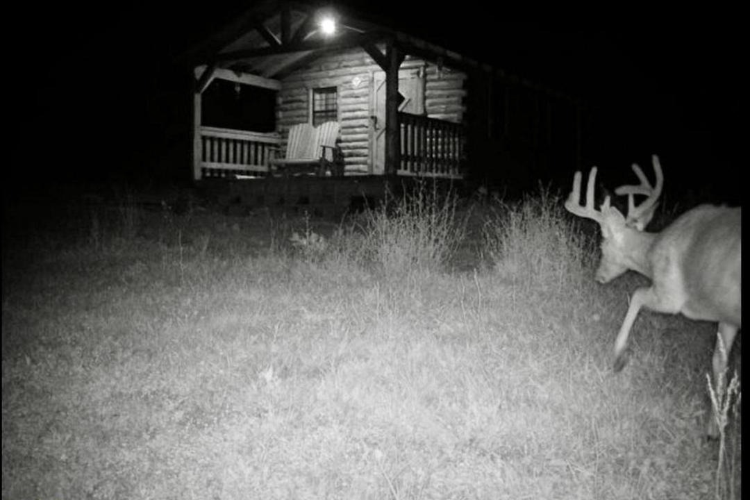 Photo of Others in Kerr