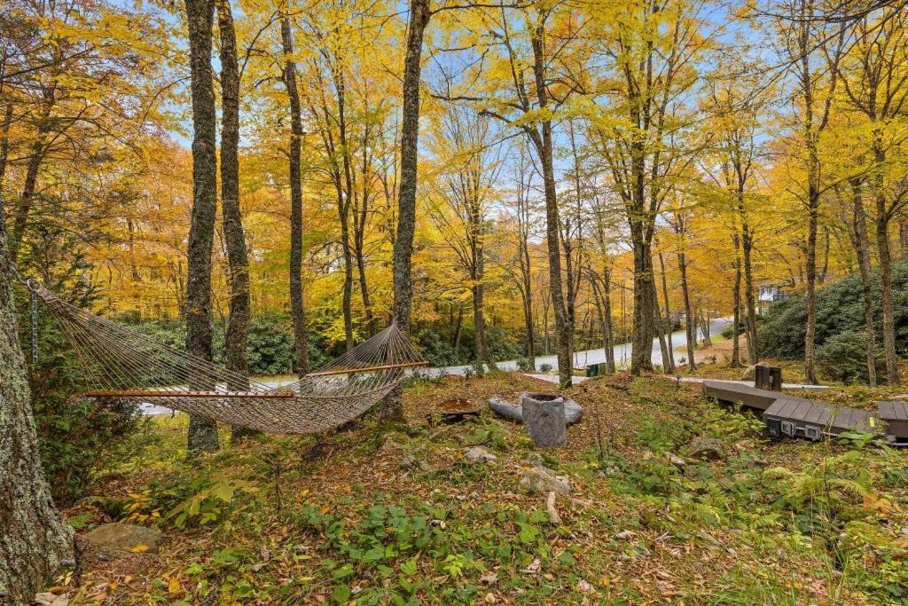 Photo of Others in Sugar Mountain