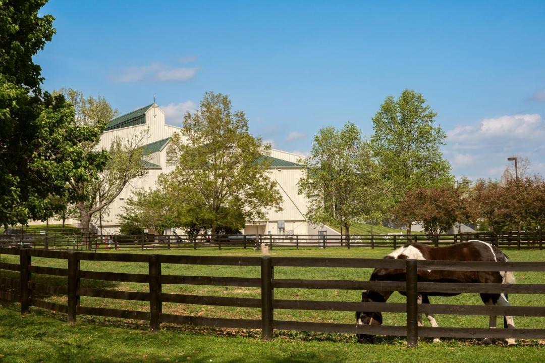 Photo of Others in Lexington