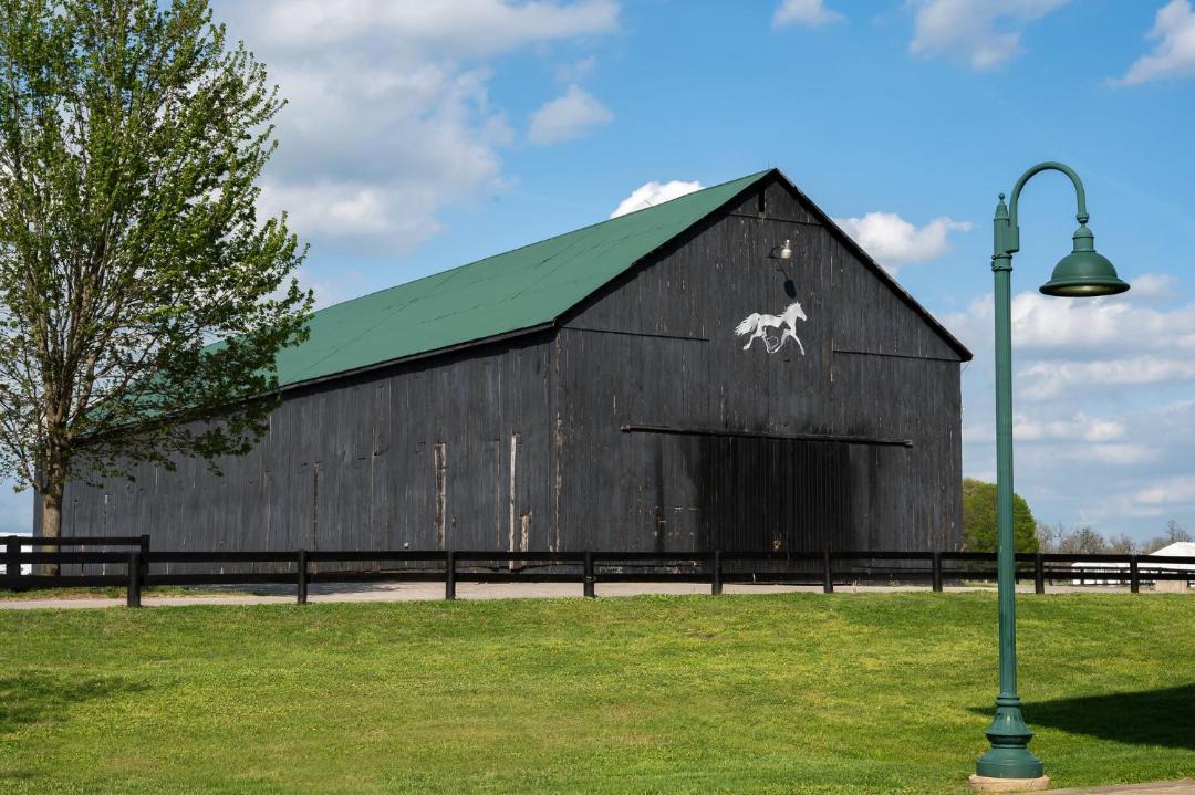 Photo of Others in Lexington