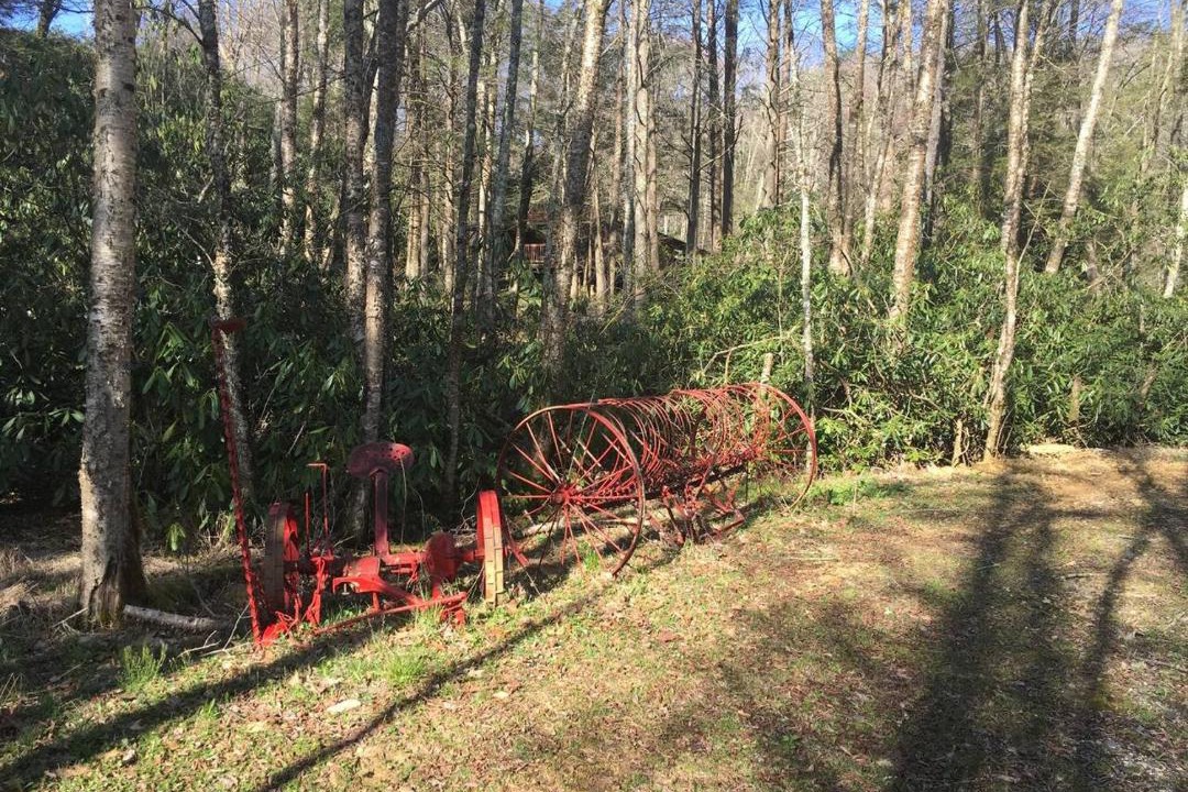 Photo of Outdoor in Banner Elk
