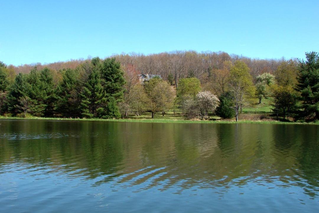 Photo of Others in North Glade Hills