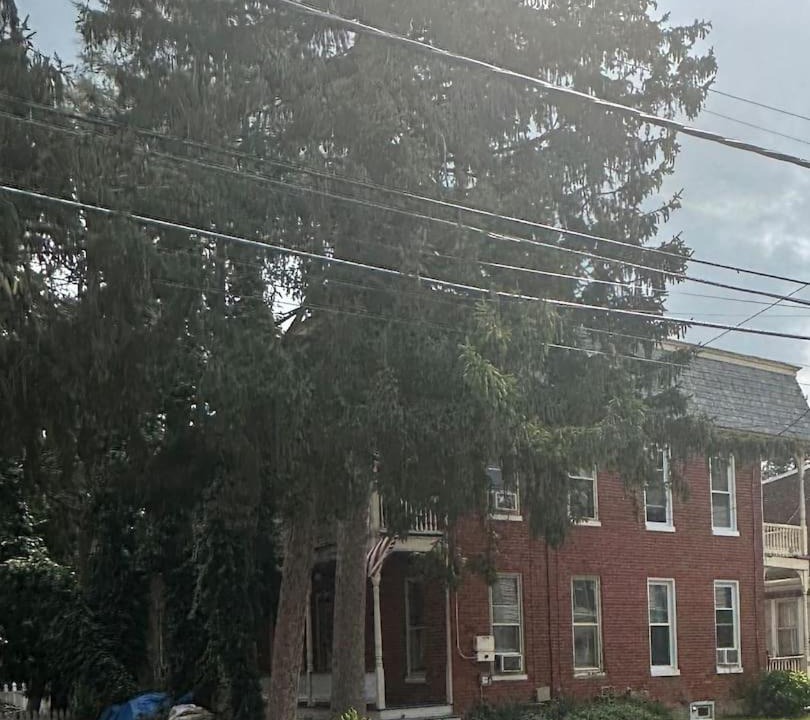 Photo of Buildings in Westminster