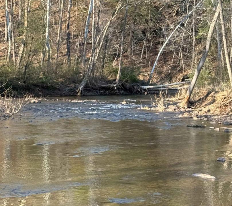Photo of Others in Berkeley Springs
