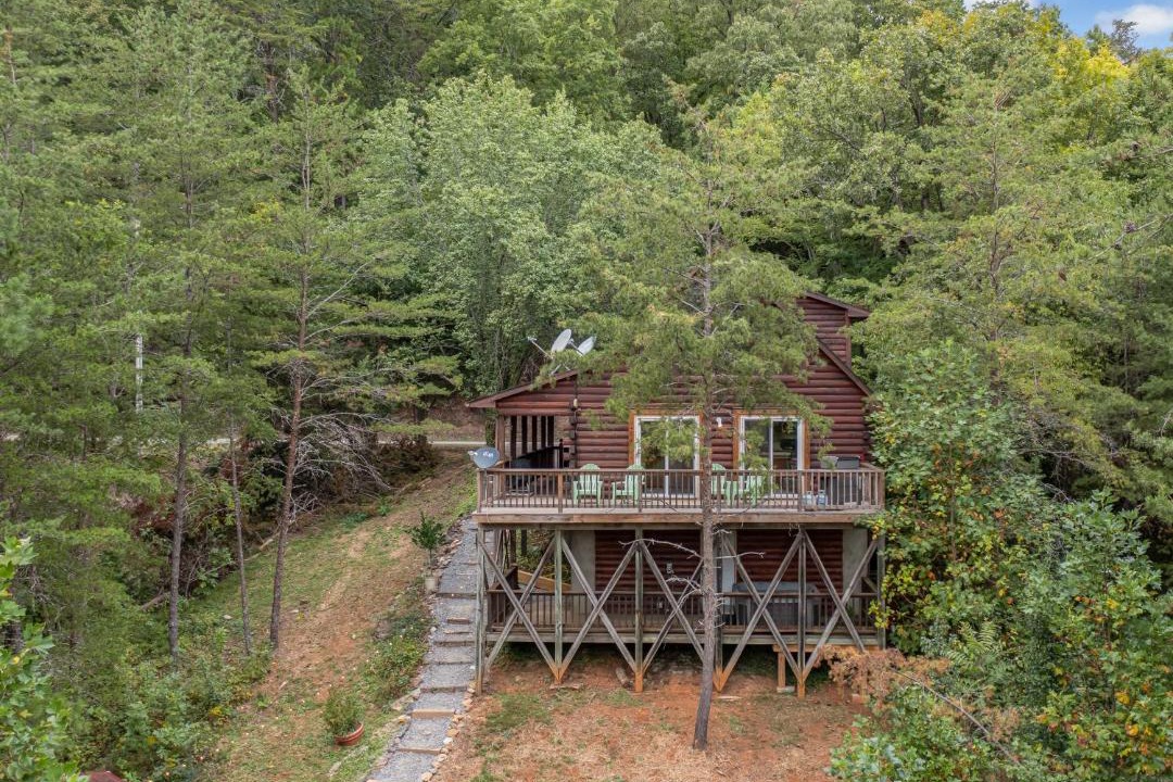 Photo of Others in Vein Mountain