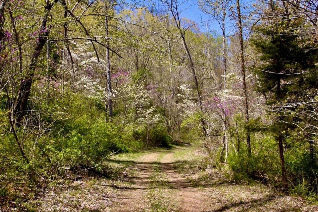 Photo of Outdoor in Frenchburg