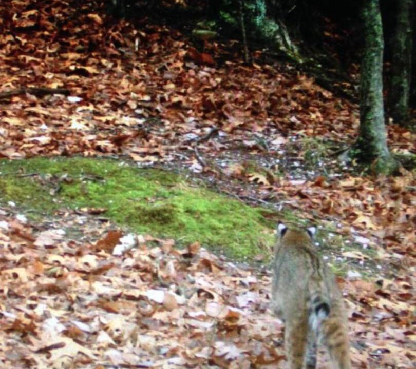 Photo of Others in Frenchburg