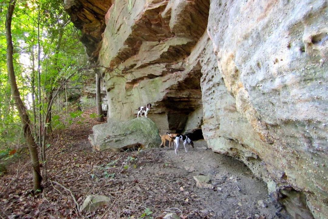 Photo of Others in Frenchburg