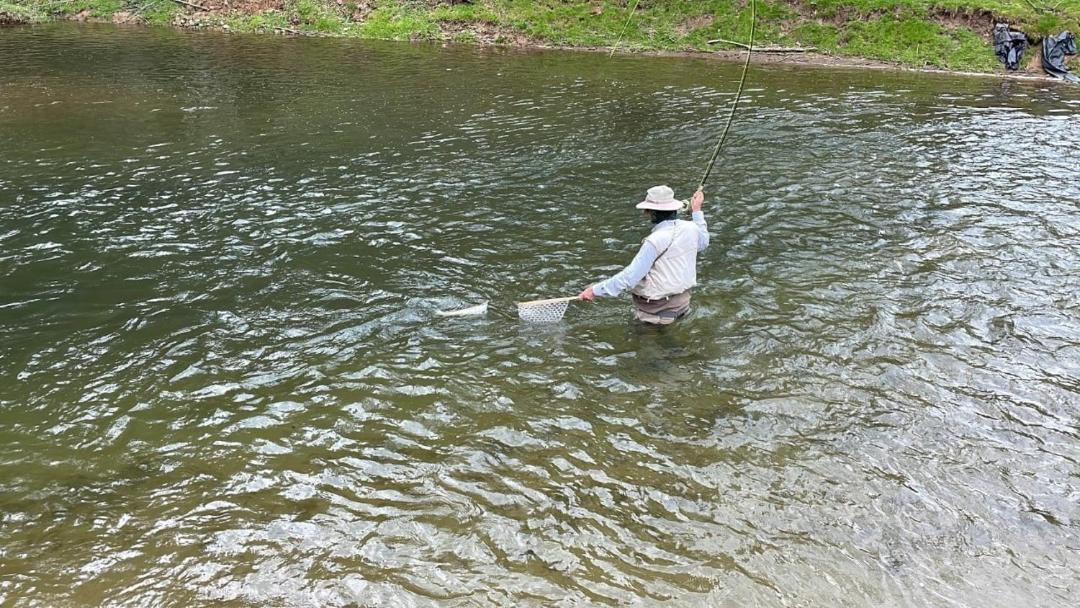Photo of Others in Grassy Creek