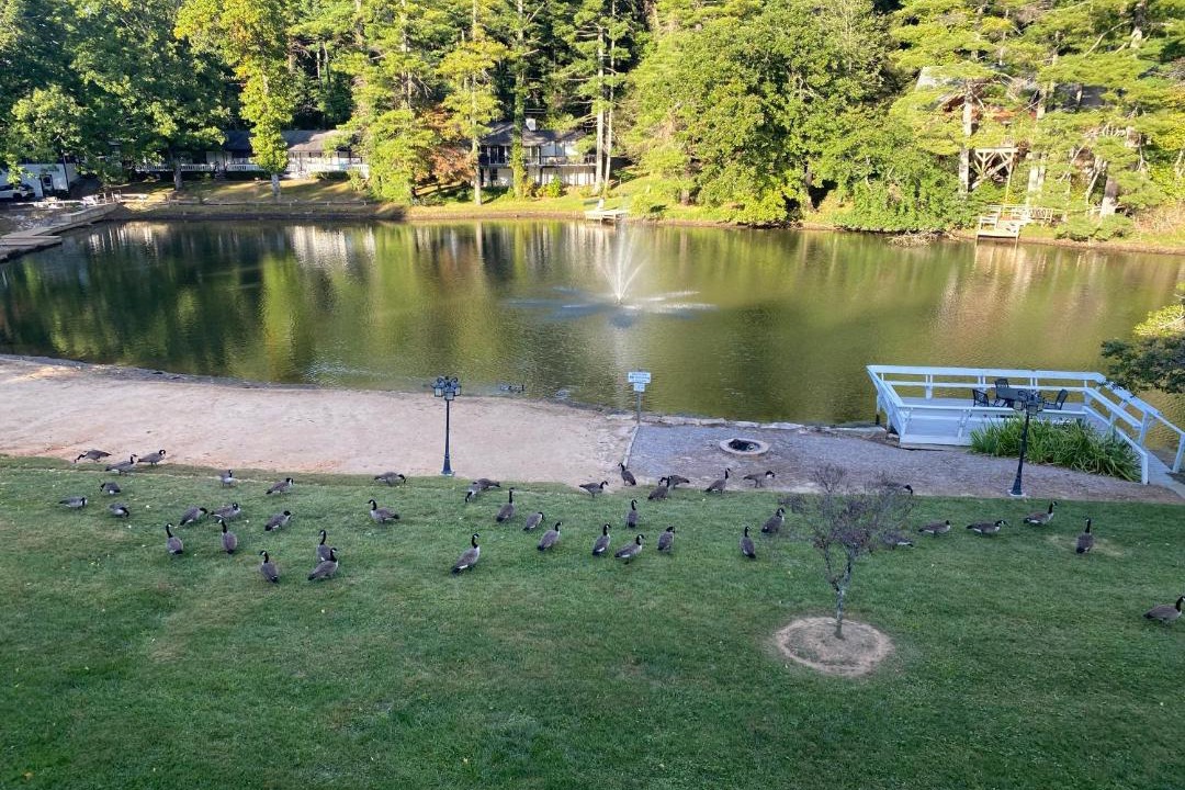 Photo of Others in Flat Rock