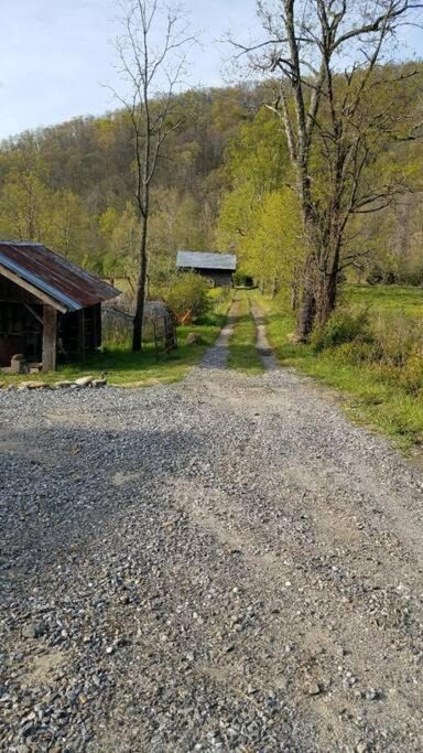 Photo of Others in Barnardsville