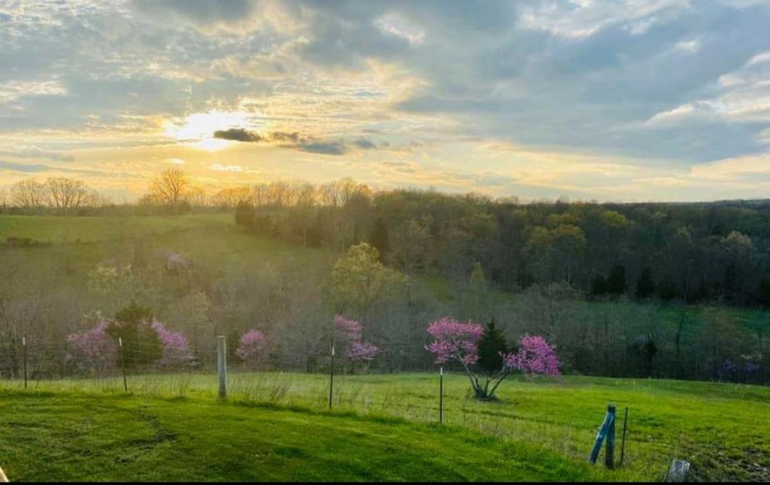 Photo of Others in Jonesville