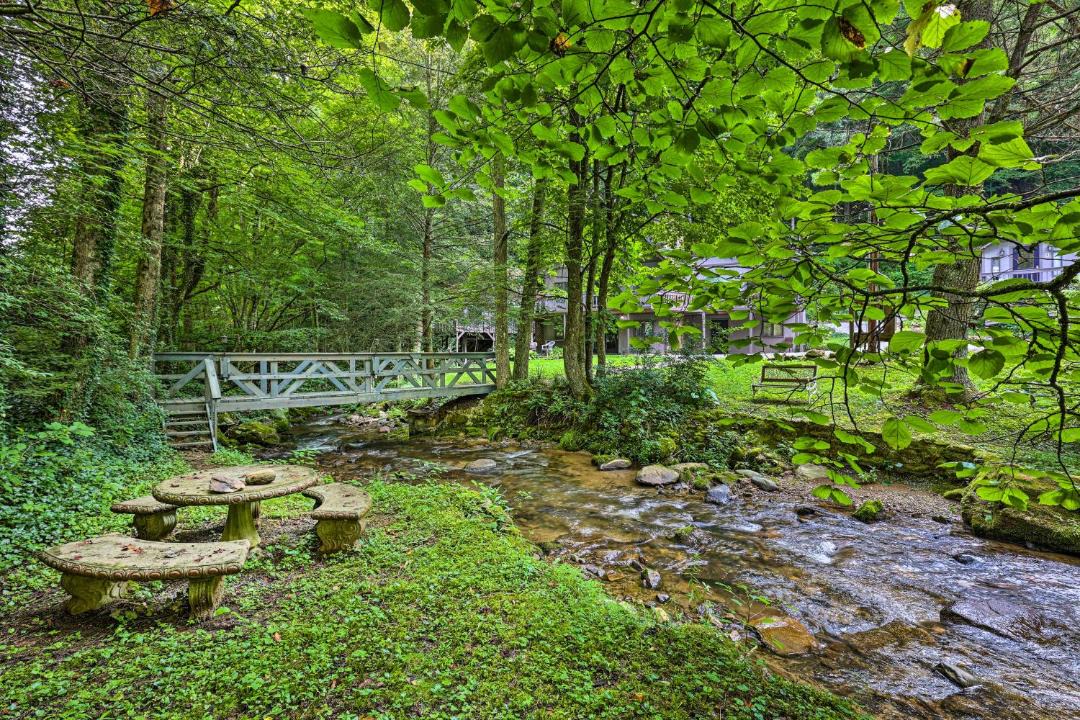 Photo of Others in Roan Mountain