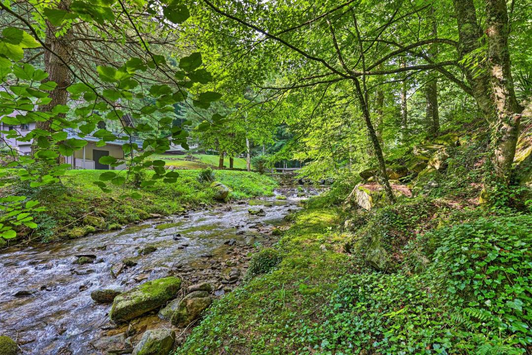 Photo of Others in Roan Mountain