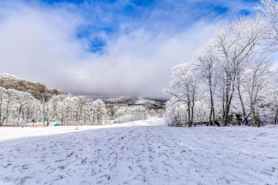 Photo of Others in Sugar Mountain
