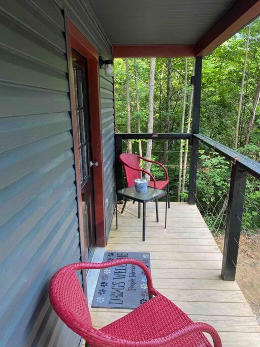 Photo of Patio Balcony in Primrose