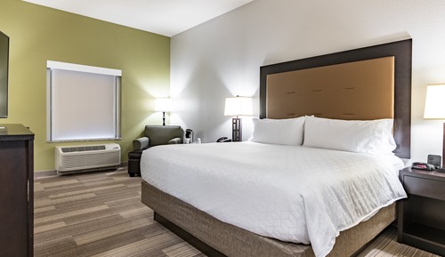 Suite, 1 King Bed with Sofa bed (Additional Living Area)
