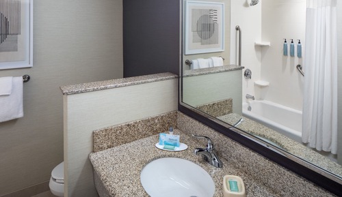Suite, 1 Bedroom, Hearing Accessible