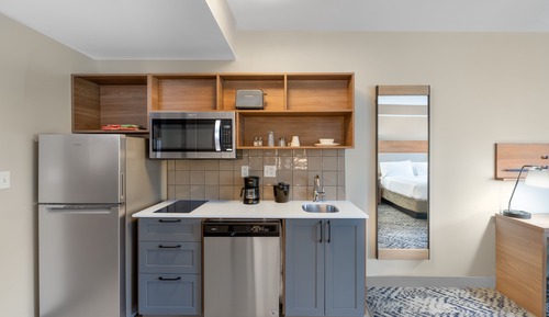 Studio Suite, 1 King Bed, Mountain View