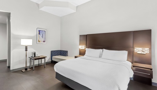 Standard Room, 1 King Bed, Accessible (Mobility, Roll-In Shower)
