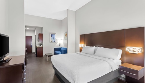 Suite, 1 King Bed with Sofa bed