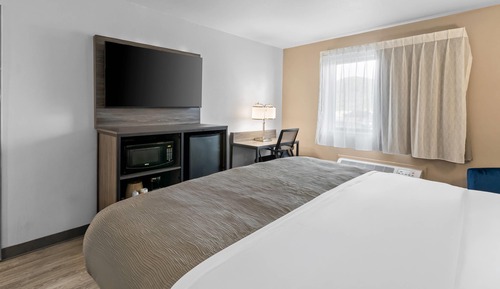 Standard Room, 1 King Bed, Non Smoking
