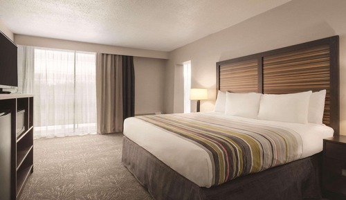 Room, 1 King Bed, Accessible, Non Smoking (Roll-in Shower)