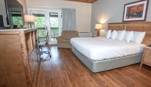 Room, 1 King Bed (No Pets Allowed)